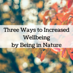 Three Ways to Increased Wellbeing by being in Nature