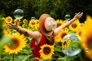 beautiful sunflowers and happy woman with her arms stretched out